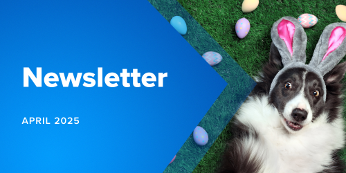 Newsletter Images 500 X 250 (19) - MicroAccounting