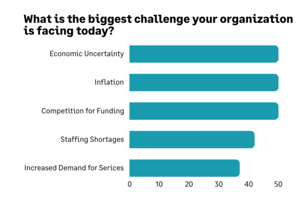 Bar chart showing the biggest challenges nonprofts reported facing in 2024.